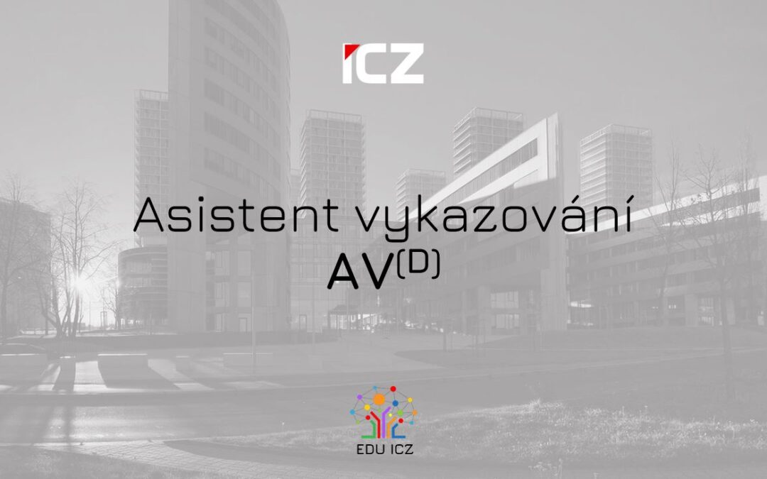 Asistent vykazování AV(D)